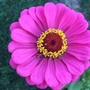 Meet your Posher, Barbara