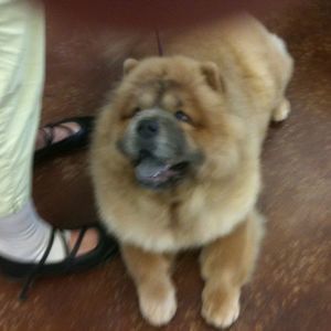 Meet your Posher, Mary