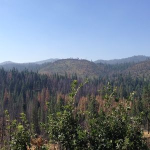 Meet your Posher, Sav