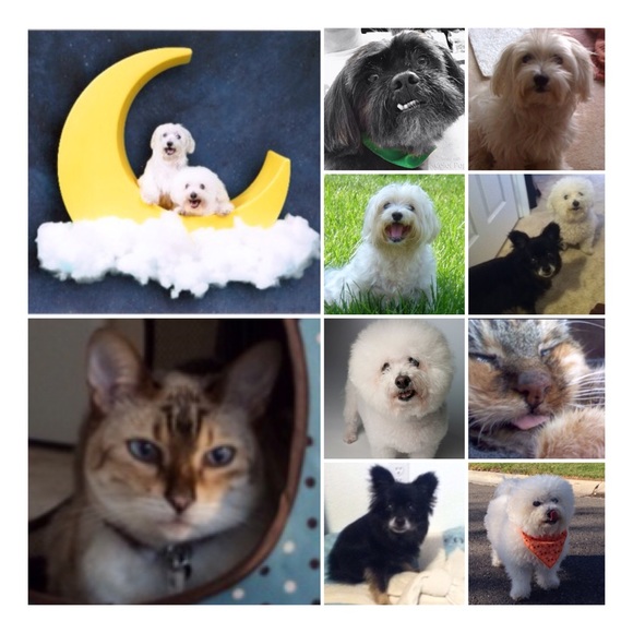 😊 Welcome to my closet! - Picture 5 of 6