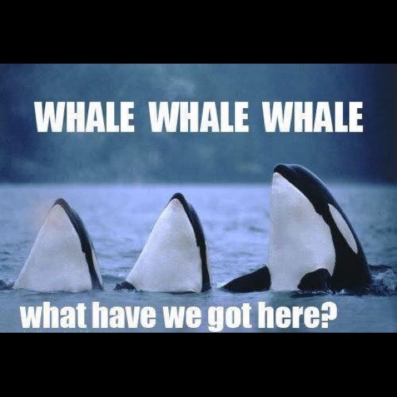 ❤️ PLEASE READ❤️Welcome to my closet❤️ - Picture 2 of 9