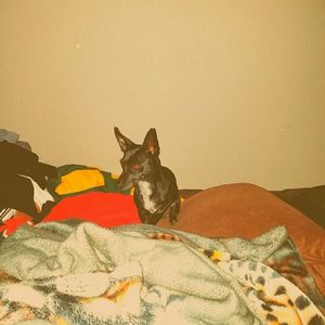 Meet your Posher, Esteban