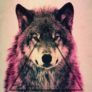 Meet your Posher, Alice