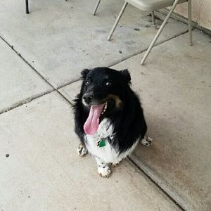 Meet your Posher, Blake