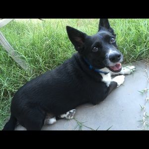 Meet your Posher, Sandra