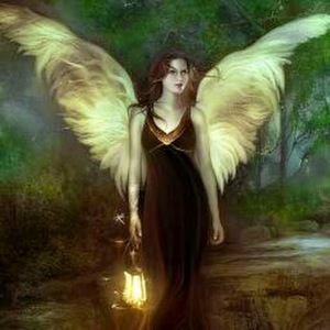 Meet your Posher, Alice