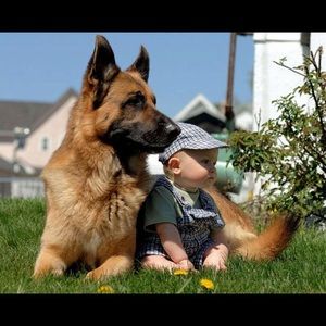 Meet your Posher, Brian