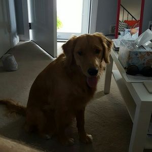 Meet your Posher, Kyle