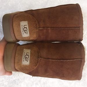 Chestnut Uggs