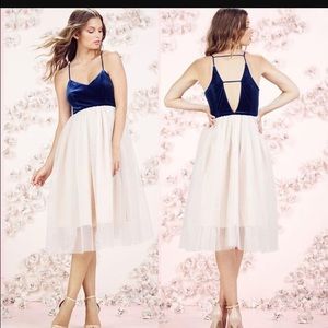 LC Lauren Conrad Runway tulle and velvet dress