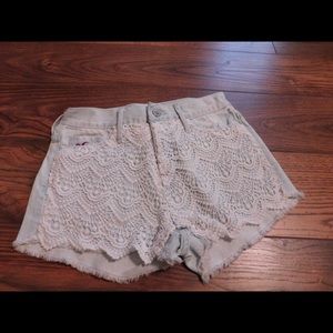 Hollister Shorts / Brand-New