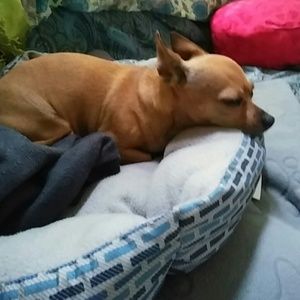 Meet your Posher, Arlene