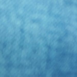 Meet your Posher, Katrina