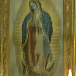 Meet your Posher, Gloria