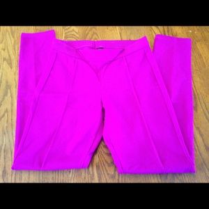 Hue fuchsia leggings