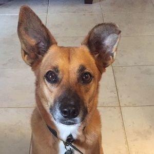 Meet your Posher, Lilly