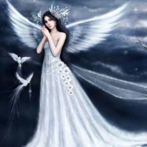 Meet your Posher, Betty