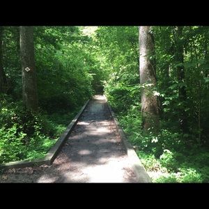 Meet your Posher, Michaela