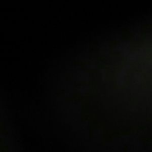 Meet your Posher, Bailey