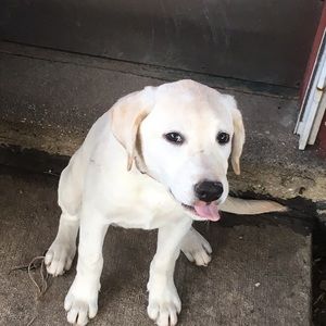 Meet your Posher, Berenice