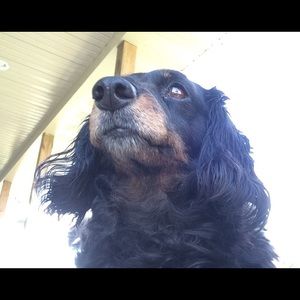 Meet your Posher, Faith