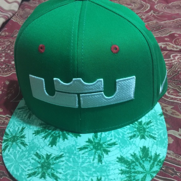lebron snapback