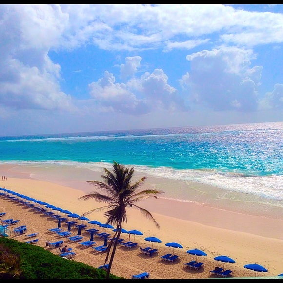 Meet your Posher, Rabecca - Picture 1 of 1