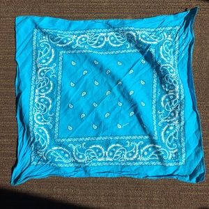 Blue bandanna