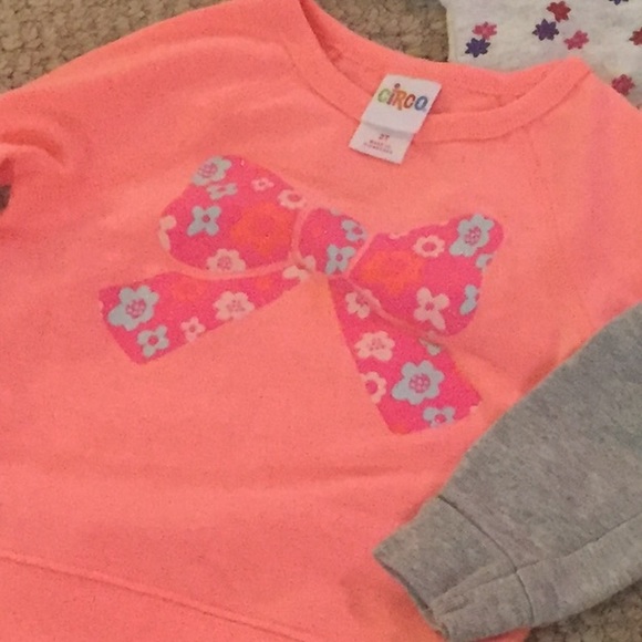 2 hoodie zip ups and one pull over sweatshirt - Picture 2 of 4