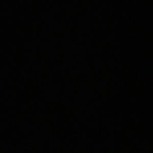 Meet your Posher, Bridget