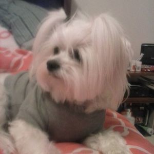 Meet your Posher, Alicia