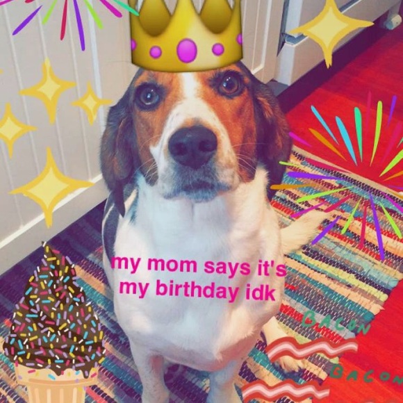 Meet your Posher, Renita - Picture 2 of 2