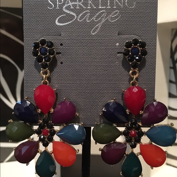Multi-Colored Earrings