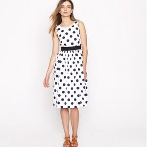 J Crew Big Shot Dot dress