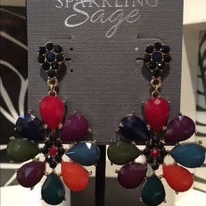 Mutli-colored Earrings