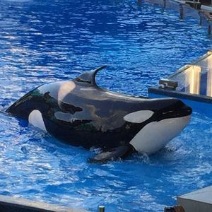 Meet your Posher, Cristy