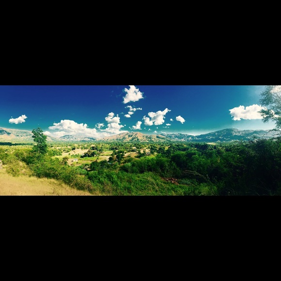 Meet your Posher, Brooklynn - Picture 1 of 1