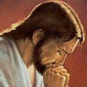 Meet your Posher, Lucien