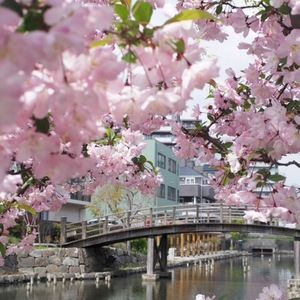 Meet your Posher, Maddy