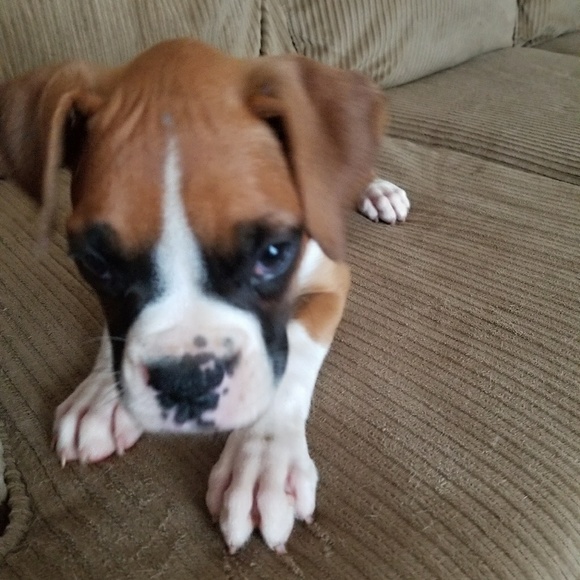 Meet your Posher, Jen - Picture 8 of 8