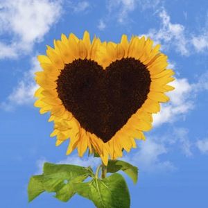 Meet your Posher, Bridget