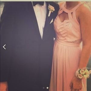 BCBG Pale Pink formal dress