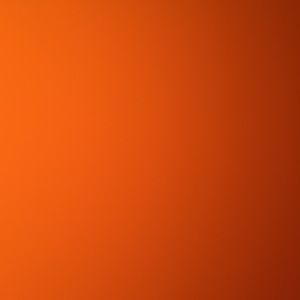 Meet your Posher, Alana