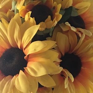 Meet your Posher, Osmaida