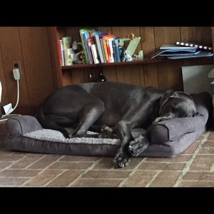 Meet your Posher, Stacie