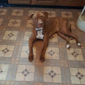 Meet your Posher, Judy