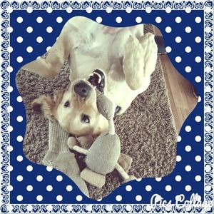 Meet your Posher, Lana