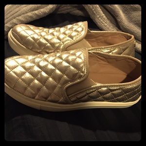 steve madden sneakers