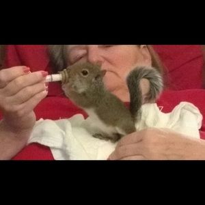 Meet your Posher, Janet