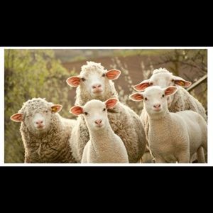 Meet your Posher, Renee